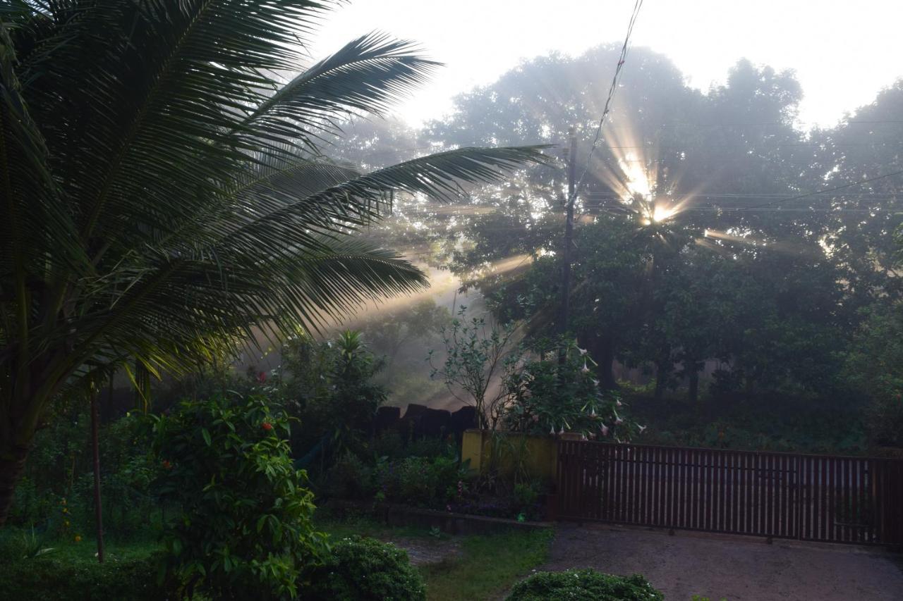 Ibbani Homestay, Siddapur Exterior photo